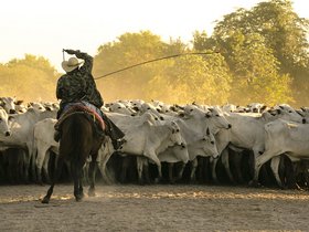 Farmer