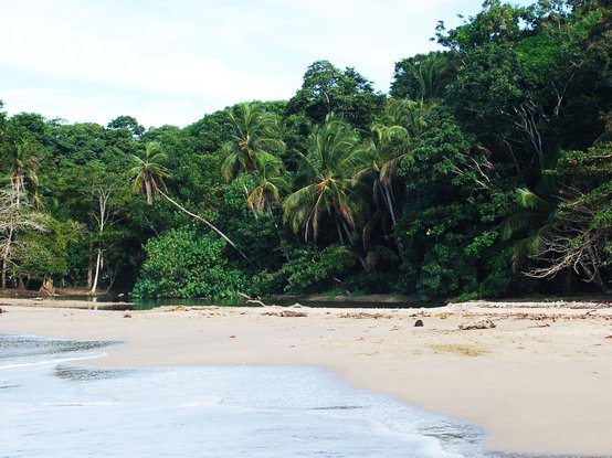 Playa Punta Uva Costa Rica